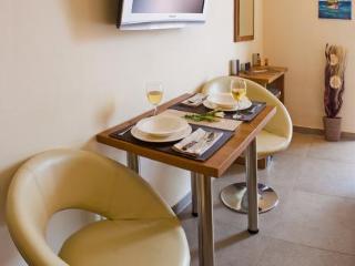 Appartement Studio Centre